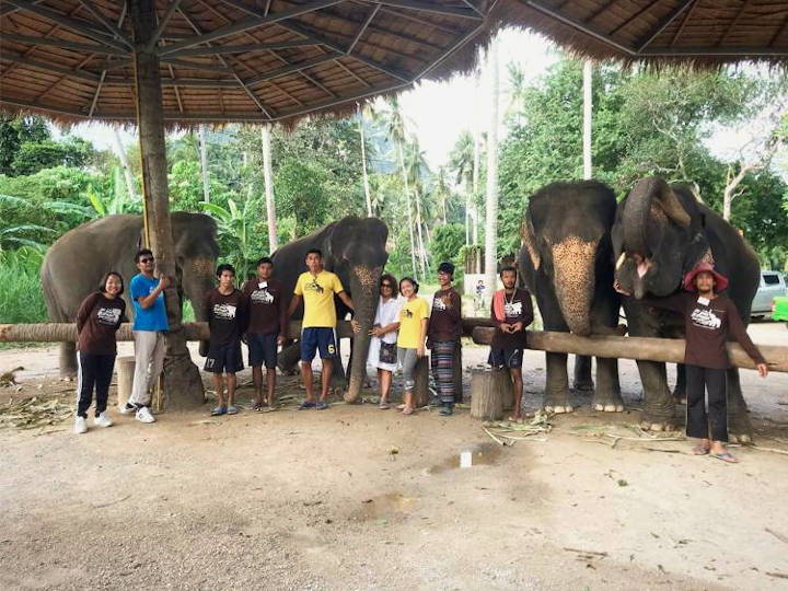 Visit these elephants @Ao Nang Elephant Sanctuary